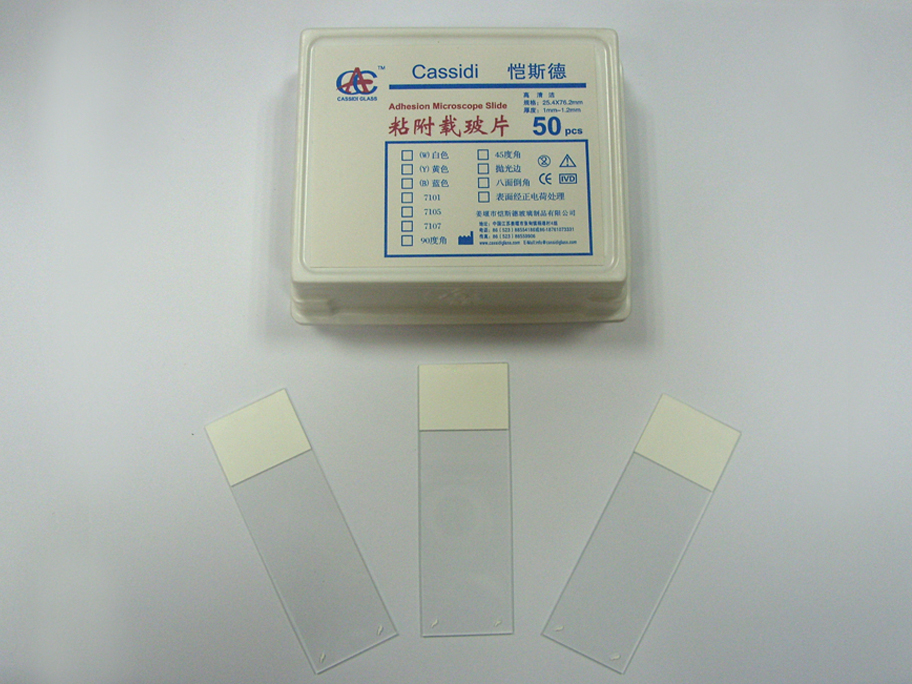 粘附載玻片